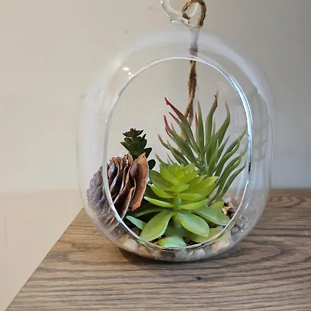 Downтown - Free Parking 公寓 瓦爾納